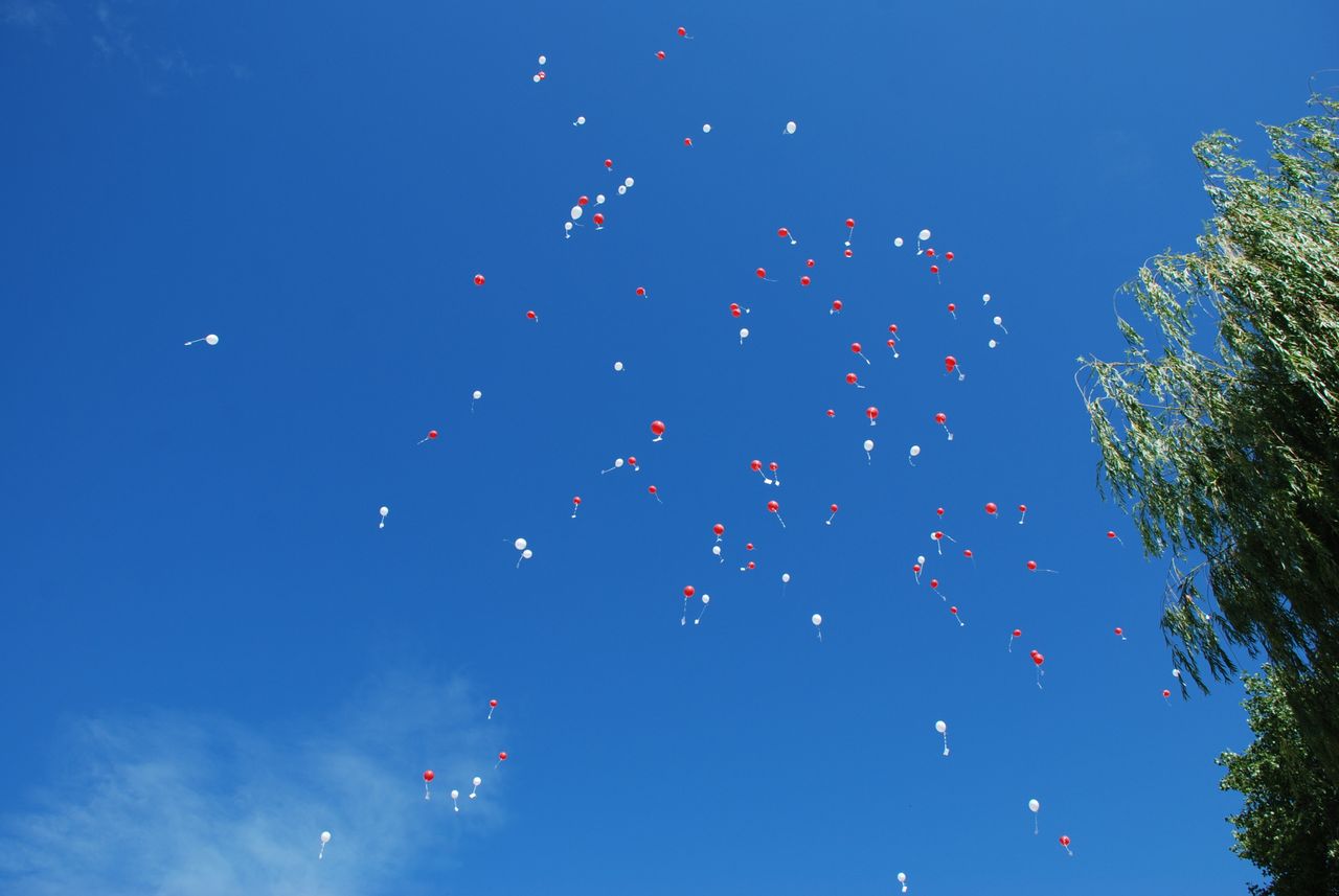 A multitude of red and white balloons float elegantly in a clear blue sky, creating a captivating visual.