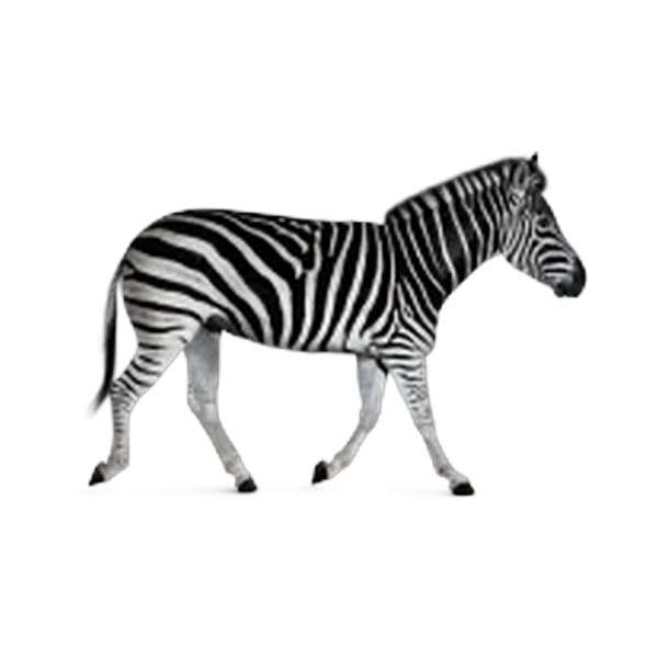 Investec Investec